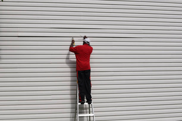 Best Composite Siding  in Skidway Lake, MI