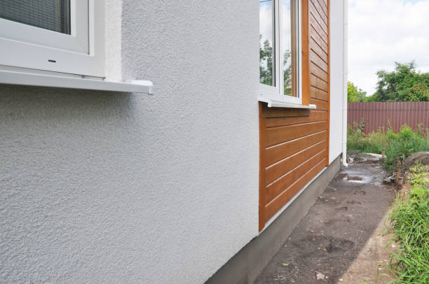 Best Steel Siding Installation  in Skidway Lake, MI