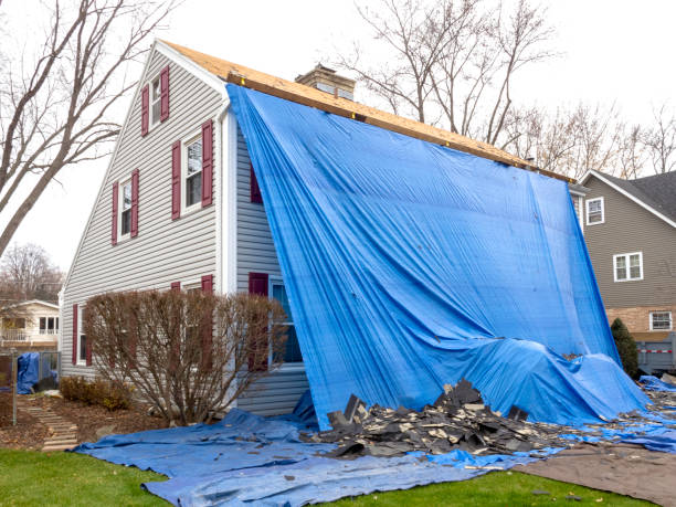 Best Siding for Commercial Buildings  in Skidway Lake, MI