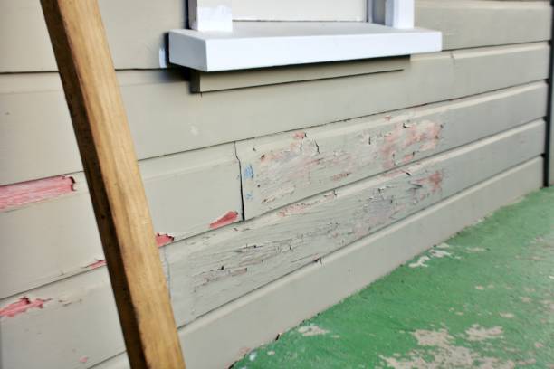 Best Siding Painting and Refinishing  in Skidway Lake, MI