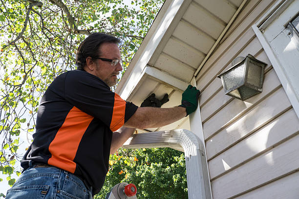 Skidway Lake, MI Siding Installation & Repair Company